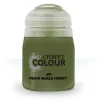 Citadel Colour 24ml Air Death World Forest Acrylic Paint