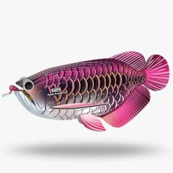 Eugy 118 Asian Arowana Card 3D Puzzle
