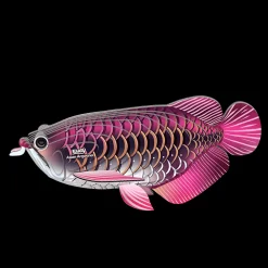 Eugy 118 Asian Arowana Card 3D Puzzle