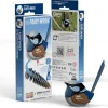 Eugy 25 Fairy wren Card 3D Puzzle