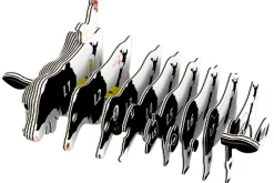 Eugy 79 Holstein Friesian Cow Card 3D Puzzle