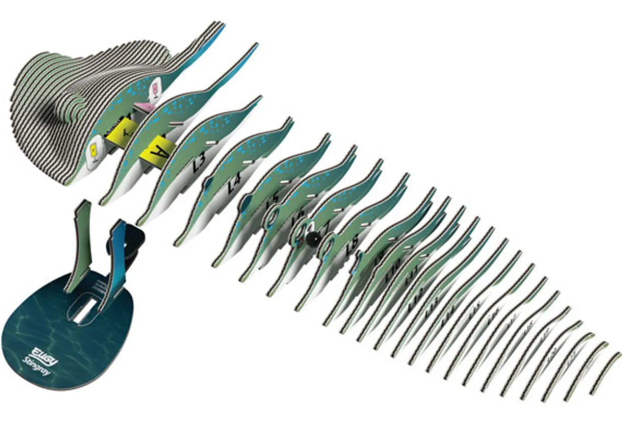 Eugy 102 Stingray Card 3D Puzzle