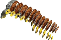 Eugy 104 Tortoise Card 3D Puzzle