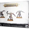 Games Workshop Age of Sigmar - Hedonites of Slaanesh - Slaangor Fiendbloods