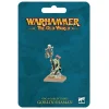 Games Workshop Warhammer The Old World - Orc & Goblin Tribes - Goblin Shaman
