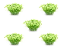 Gaugemaster Field Plants 6mm Grass Tufts (42)