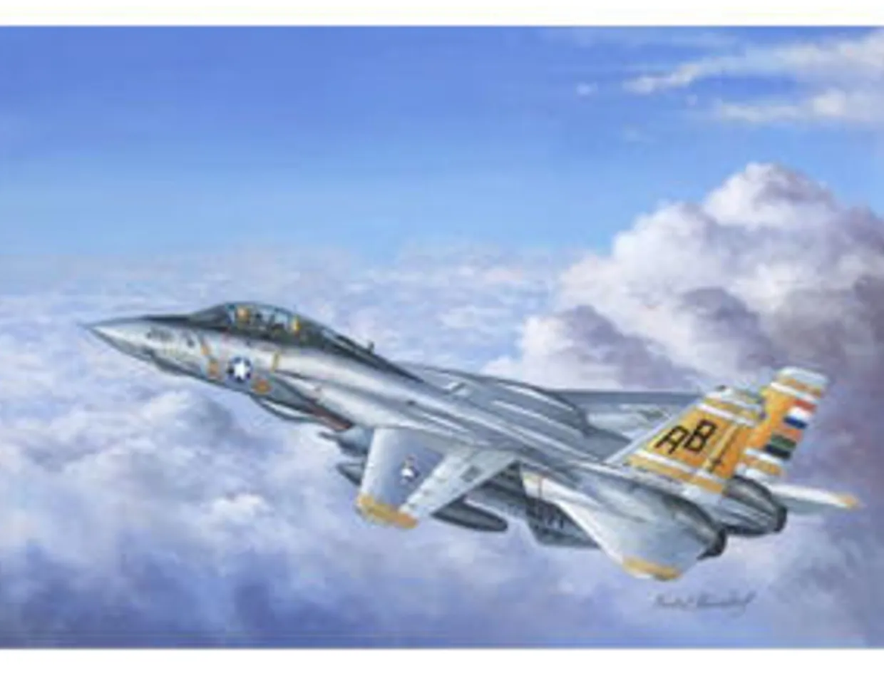 Hobby Boss 1/48 Grumman F-14A Tomcat