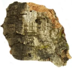 Javis Cork Bark Medium