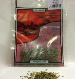 Javis Fine Spring Leaves