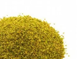 Javis Scatter No.14 Light Green