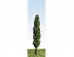 K+M Model Trees 90mm Single Poplar Model Tree