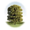 K+M Model Trees 90mm Single Deciduous Green Model Tree