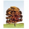 K+M Model Trees 70mm Single Deciduous Mixed Colour Model Tree