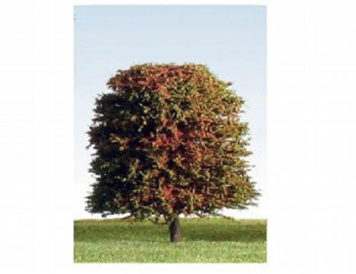 K+M Model Trees 90mm Single Deciduous Mixed Colour Model Tree