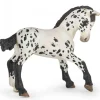 Papo Toys Black Appaloosa Foal
