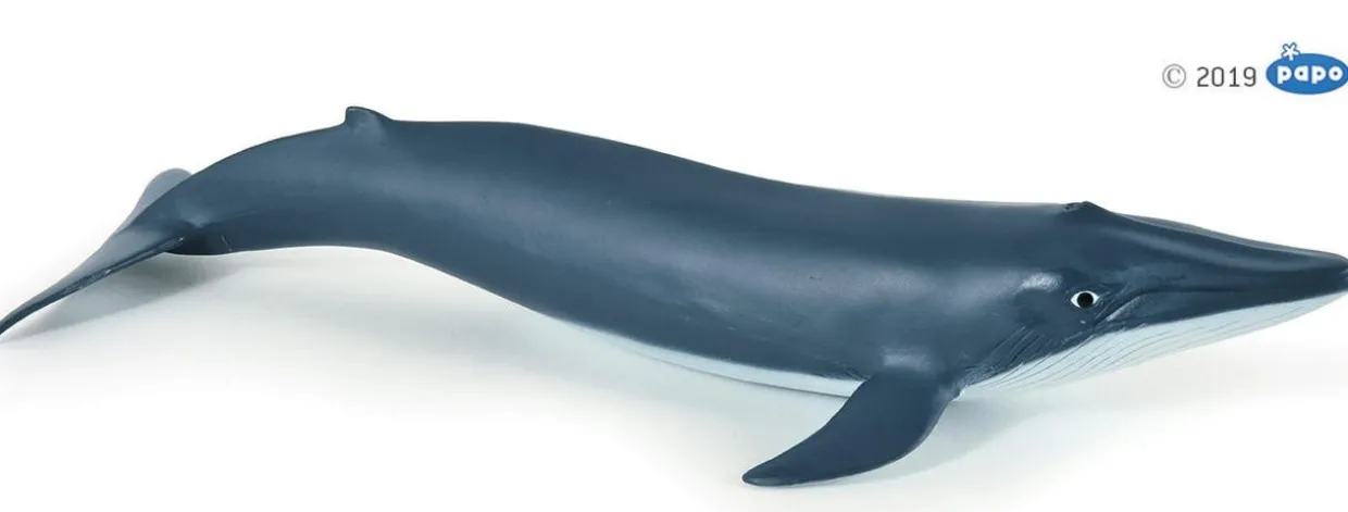 Papo Toys Blue Whale Calf