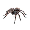 Papo Toys Common Spider