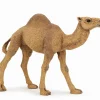 Papo Toys Dromedary Camel