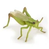 Papo Toys Grasshopper