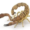 Papo Toys Scorpion