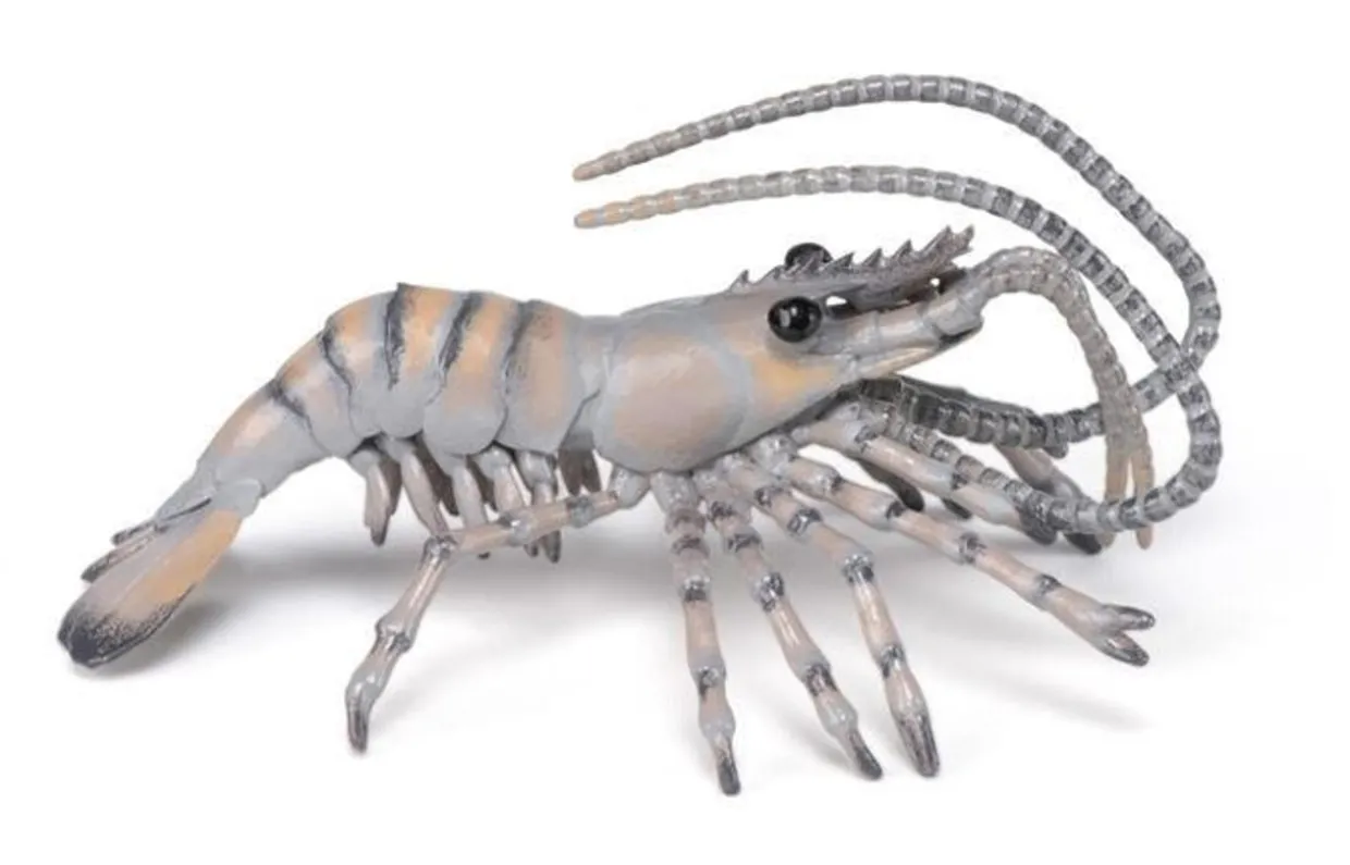 Papo Toys Shrimp