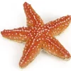 Papo Toys Starfish