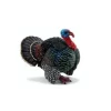 Papo Toys Turkey