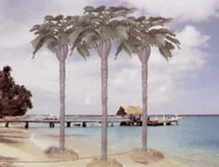 Pegasus Hobbies 1/72 Large Palm Trees Style A 22cm Model Kit