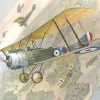 Roden 1/32 Sopwith 1 1/2 Strutter Model Kit