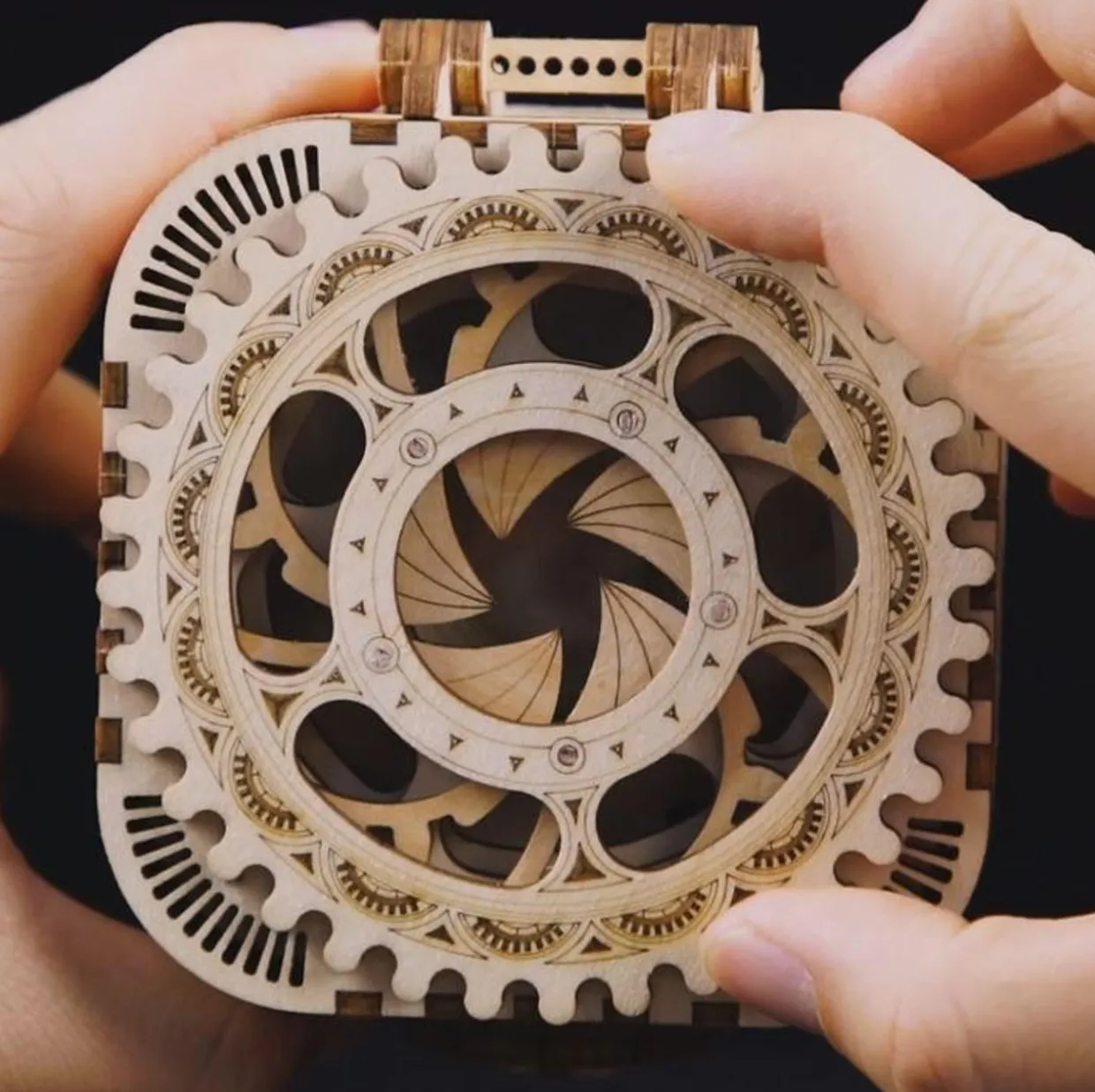 Rokr Treasure Box 3D Wooden Kit