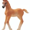 Schleich Horse Club Arabian Foal 2024