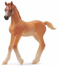 Schleich Horse Club Arabian Foal 2024