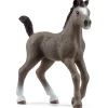 Schleich Horse Club Cheval de Selle Francaise Foal