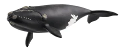 Schleich Wild Life North Atlantic Right Whale