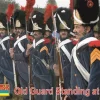 Strelets 1/72 Napoleonic French Old Guard Standing at Ease