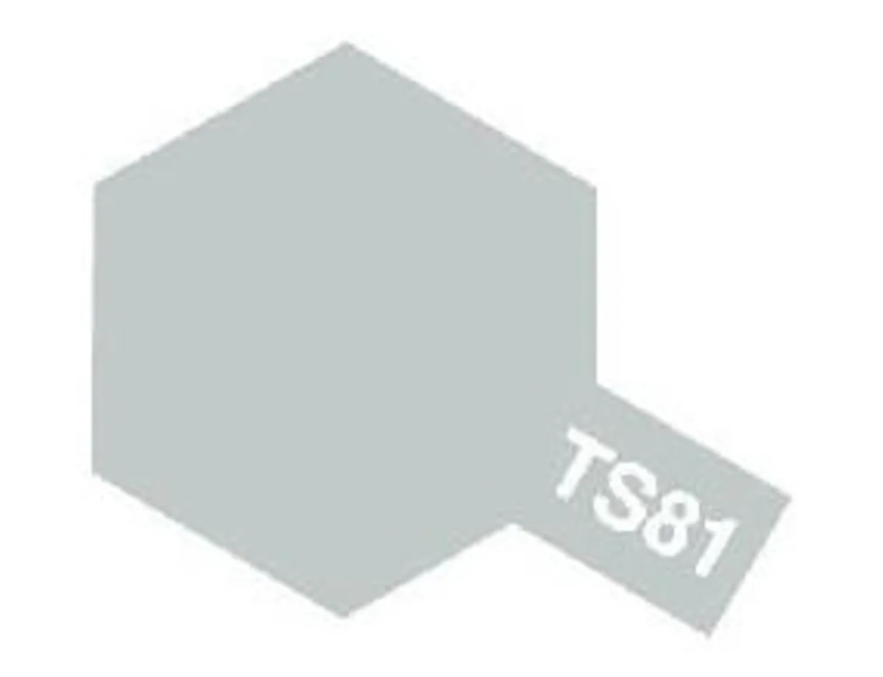 Tamiya TS-81 Flat Royal Light Grey Flat Acrylic Spray Paint
