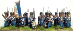 Victrix 28mm Napoleon's French Old Guard Chasseurs