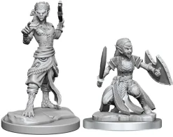 WizKids Nolzur's Marvelous Miniatures Shifter Fighters