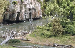 Woodland Scenics Dead Fall - 0.5 oz