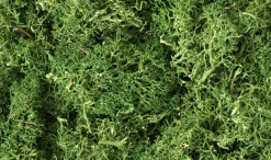 Woodland Scenics Medium Green Lichen